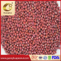 Best Qulaity Red Beans From China